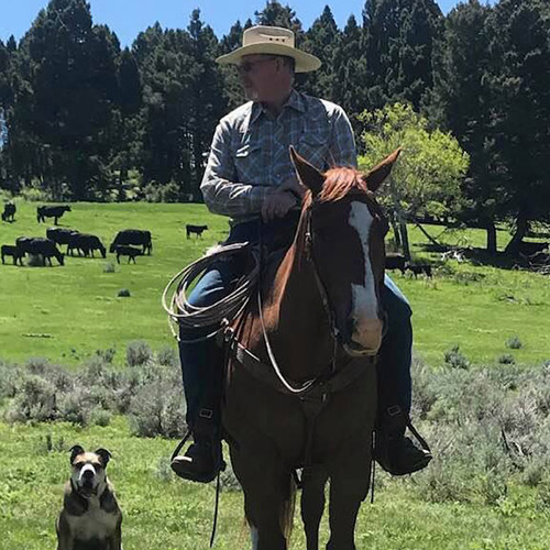 Kurt & Ronni Luoma — Rock Creek Land & Cattle