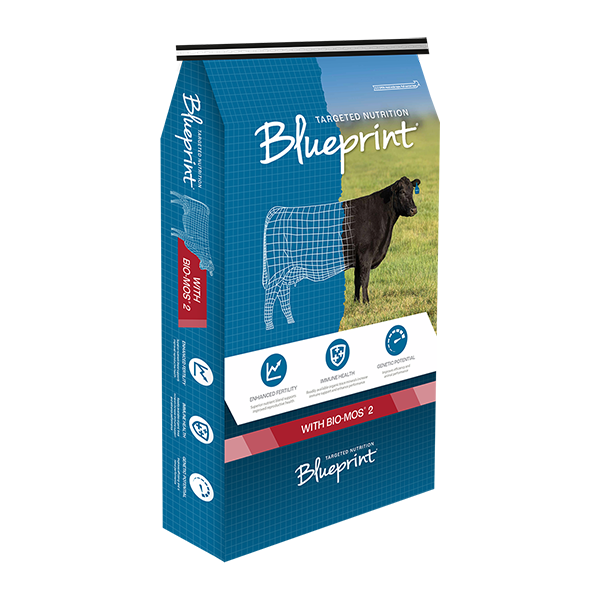 Blueprint Bio-Mos 2 product bag image