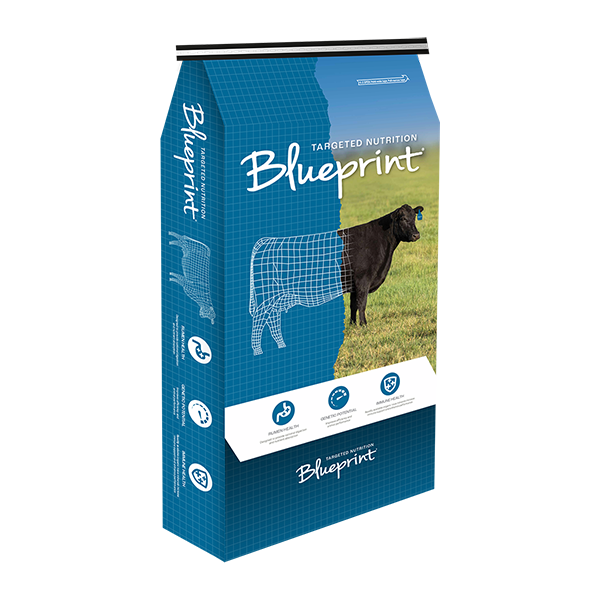 Blueprint® Shade - Blueprint Animal Nutrition